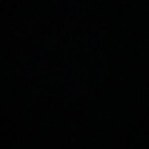 Meet your Posher, Dillon